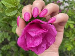 rose vitrail 1.JPG